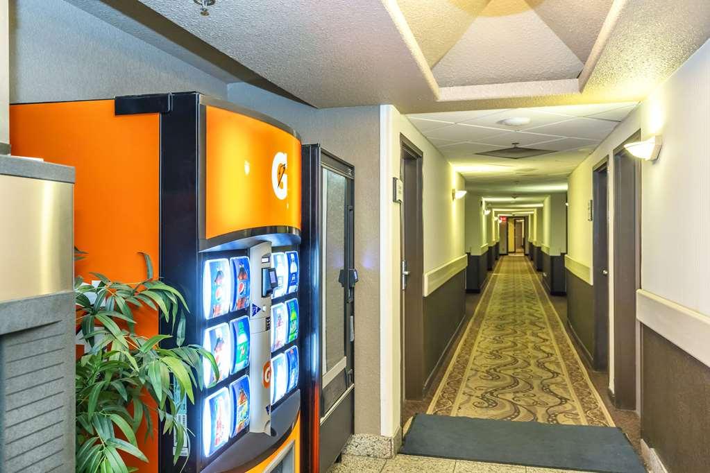 Quality Inn & Suites Yorkton Konforlar fotoğraf